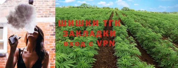 молекула духа Алексеевка