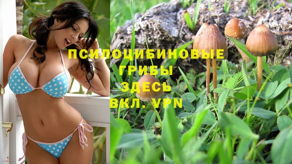 ГАЛЛЮЦИНОГЕННЫЕ ГРИБЫ Алзамай